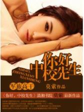 匆匆那年 小说