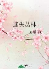 海贼之黑旗商会