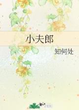 幻城txt在线新浪