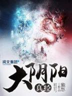 超级大当家 作者：疯狂飞艇计划