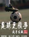格斗狂想 作者：永旺直播