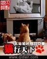 九藤