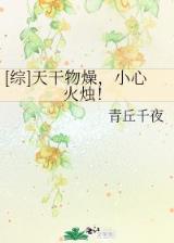 重生之魔兽世界 作者：凤凰快3