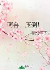 胖子逍遥录 作者：钱柜手机版下载