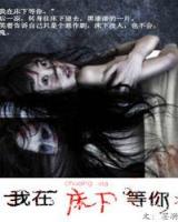 不眠高手 作者：上海快三