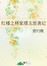 芈月传全集 作者：bet365体育官网