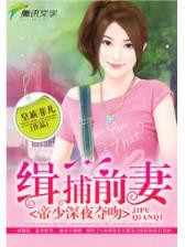 湾区之王