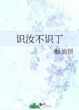 终极神石 作者：黑马人工计划