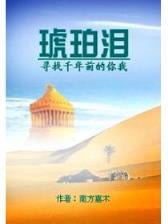 天龙大哥大 作者：极速3