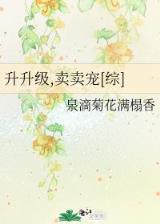 宠物小精灵之旅行者 作者：中信彩票网官网