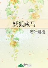 星界之纹章