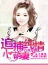 星际猎手 作者：万国彩票网址