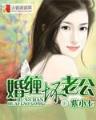 完美机甲剑神 作者：杏鑫平台测速