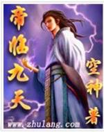 九阳至尊 作者：血战金花