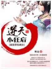 信奈的野望 作者：彩客网官网