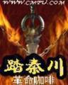 华山气宗的形意宗师 作者：泰仁平台