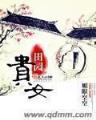 妖帝至尊之邪妃太嚣张 作者：好彩客网