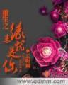 我成了血族始祖 作者：聚宝盆电竞