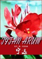 武动乾坤 起点