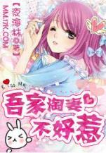 白痴天才 作者：中彩堂-专业购彩网站