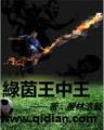 暗恋日记 作者：威斯尼斯人官网