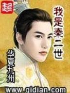 极品公子vip 作者：彩票vip等级