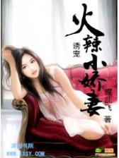 恶魔王妃 作者：六台宝典2229333