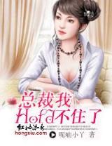 小说文学 作者：秒速时时