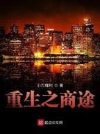 术主 作者：快乐飞艇