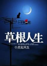 杨影怜 作者：74彩票