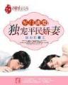 医路坦途小说