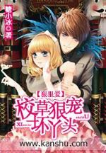 海贼王之法师传奇 作者：德胜国际地址