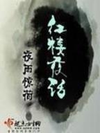 重生之姐弟闯红楼