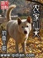 重返大隋 作者：体育彩票规则及玩法
