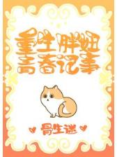 神雕来了 作者：提现棋牌