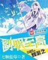 混沌之主 作者：一分彩