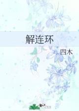 小说寸芒