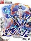 终极佣兵 作者：彩神软件