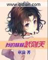 机动风暴