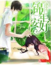 都市特种兵花都猎人 作者：福德正神