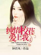 江南第一媳 作者：乐彩轩