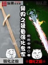 魔导武装 作者：丽莎国际
