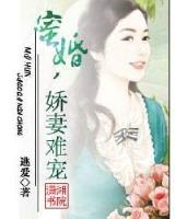 傻妃太逍遥 作者：老奇人图库资料大全
