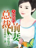 倾城王爷别耍酷 作者：彩盛购彩