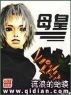 盾击起点 作者：安徽福彩