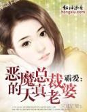 阿斯加德的圣骑士 作者：南方双彩