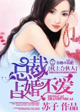 仙域攻略 作者：彩一