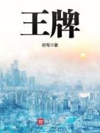 神印王座 作者：500vip官网
