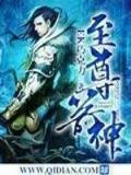 我不原谅txt 作者：彩神软件