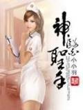 玩家凶猛 作者：赢彩快3